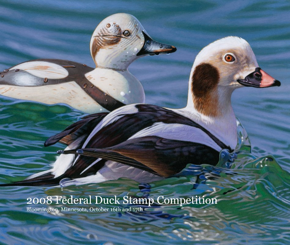 View 2008 Federal Duck Stamp Competition Bloomington, Minnesota, October 16th and 17th by Joshua Spies