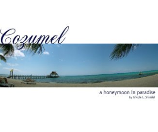 Cozumel - a honeymoon in paradise book cover