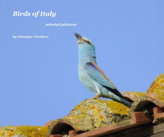 Birds of Italy book cover