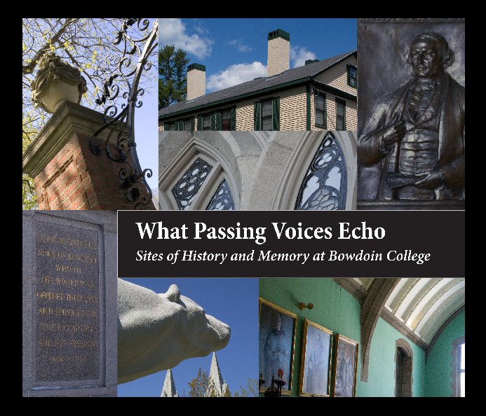 Ver What Passing Voices Echo (Softcover) por Linda J. Docherty / Art History 362