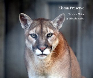 Kisma Preserve book cover