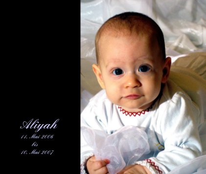 Aliyah 11. Mai 2006 bis 10. Mai 2007 book cover