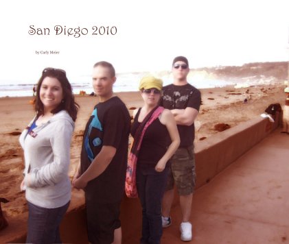 San Diego 2010 book cover