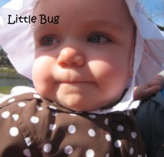 Little Bug book cover