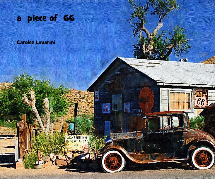 View a  piece of  66 by Carolee Lavarini