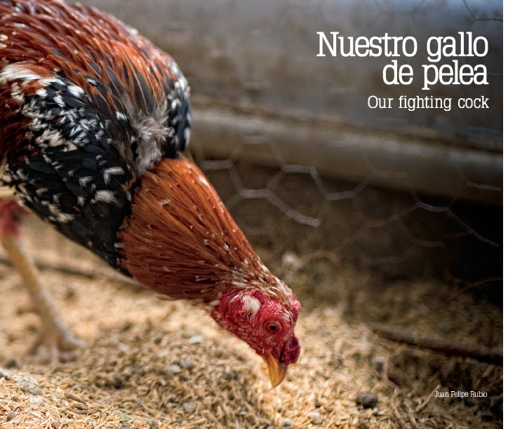 Ver Nuestro gallo de pelea por Juan Felipe Rubio - efeunodos