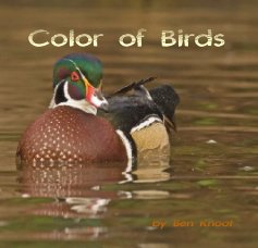 Color of Birds book cover