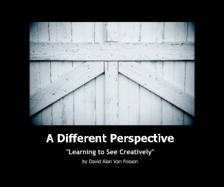 A Different Perspective book cover