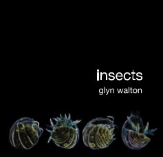 insects glyn walton book cover