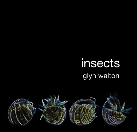 Ver insects glyn walton por glyn walton