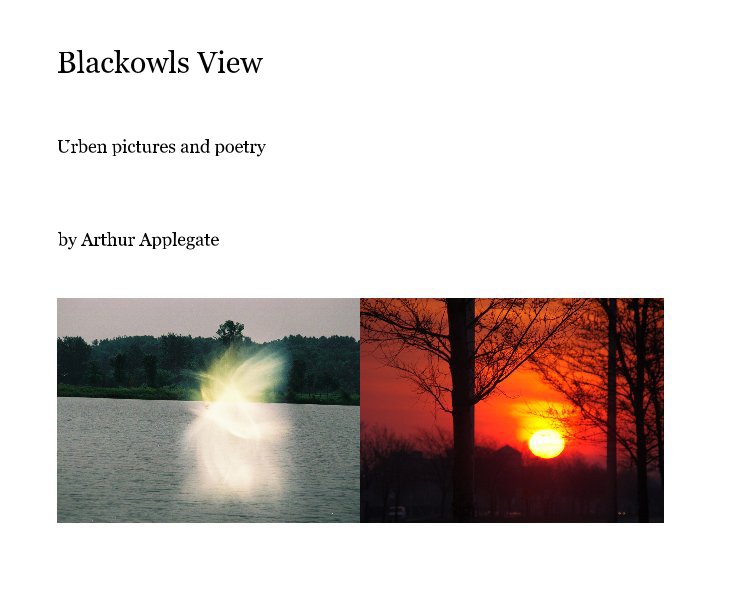 View Blackowls View by Arthur Applegate