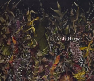 Andy Harper book cover