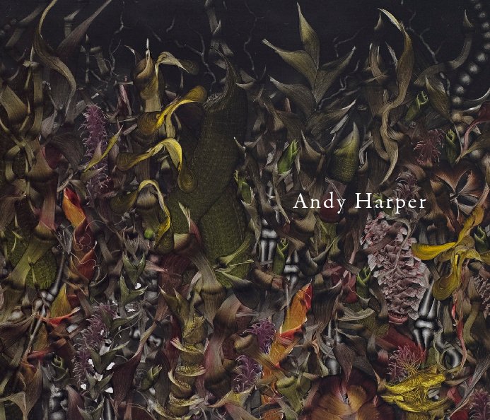 View Andy Harper by Danese