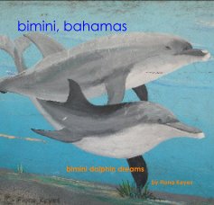 bimini, bahamas book cover
