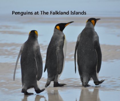 Penguins at The Falkland Islands book cover
