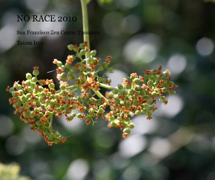 Ver NO RACE 2010 por Taizan Iryu