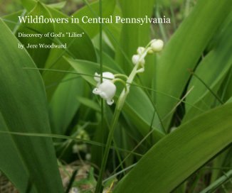 Wildflowers in Central Pennsylvania book cover
