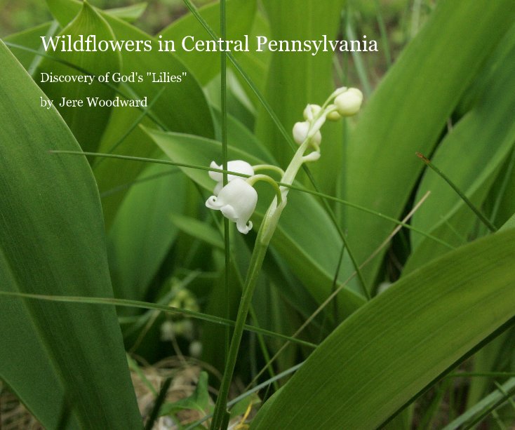 View Wildflowers in Central Pennsylvania by Jere Woodward