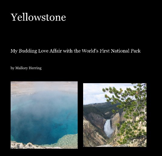 View Yellowstone by Mallory Herring