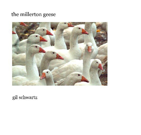 Ver the millerton geese por Gil Schwartz