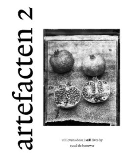 artefacten 2 book cover