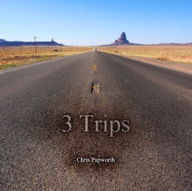 3 Trips book cover