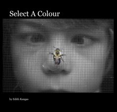 Select A Colour book cover