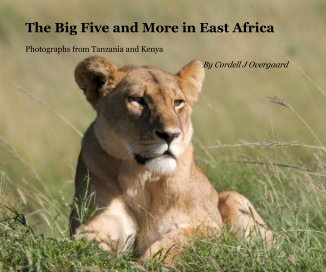 The Big Five and More in East Africa book cover