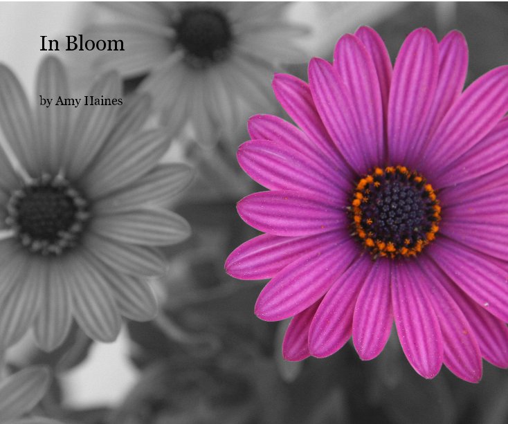 View In Bloom by Amy Haines