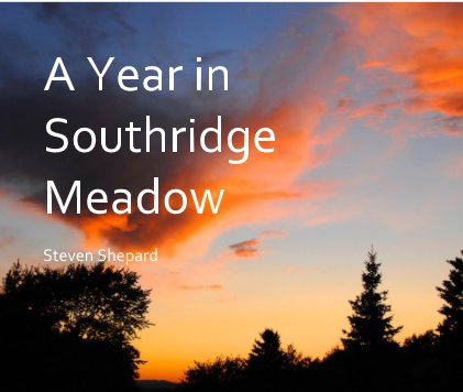 A Year in Southridge Meadow book cover