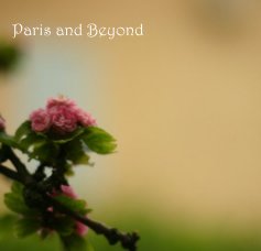 Paris and Beyond book cover