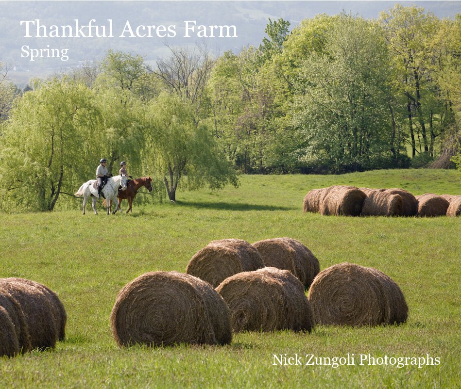 View Thankful Acres Farm Spring by Nick Zungoli Photographs
