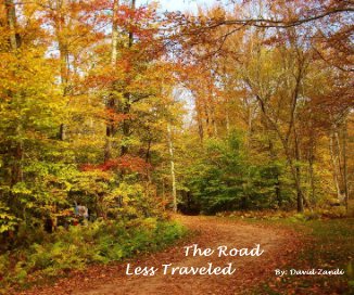 The Road Less Traveled By: David Zandi book cover