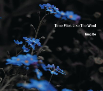 Time Flies Like The Wind book cover