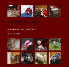Draco and Chloe book cover