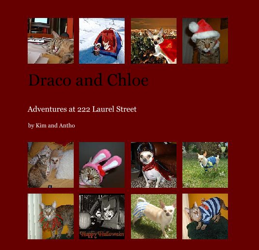 View Draco and Chloe by Kim and Antho