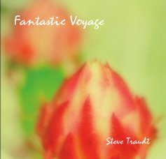 Fantastic Voyage book cover