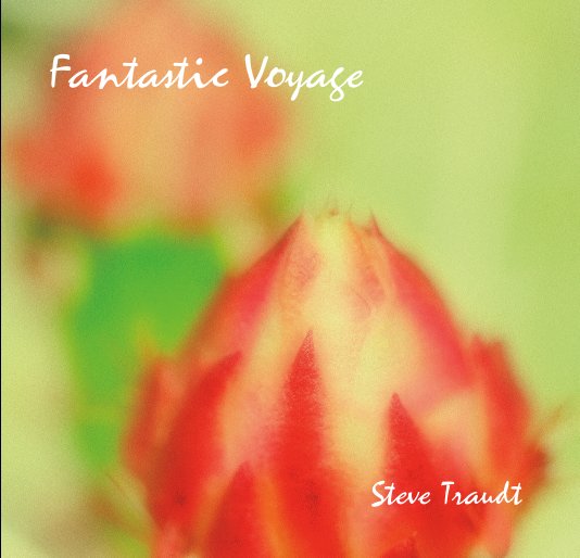 Ver Fantastic Voyage por Steve Traudt