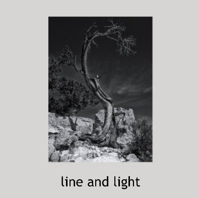 line and light book cover