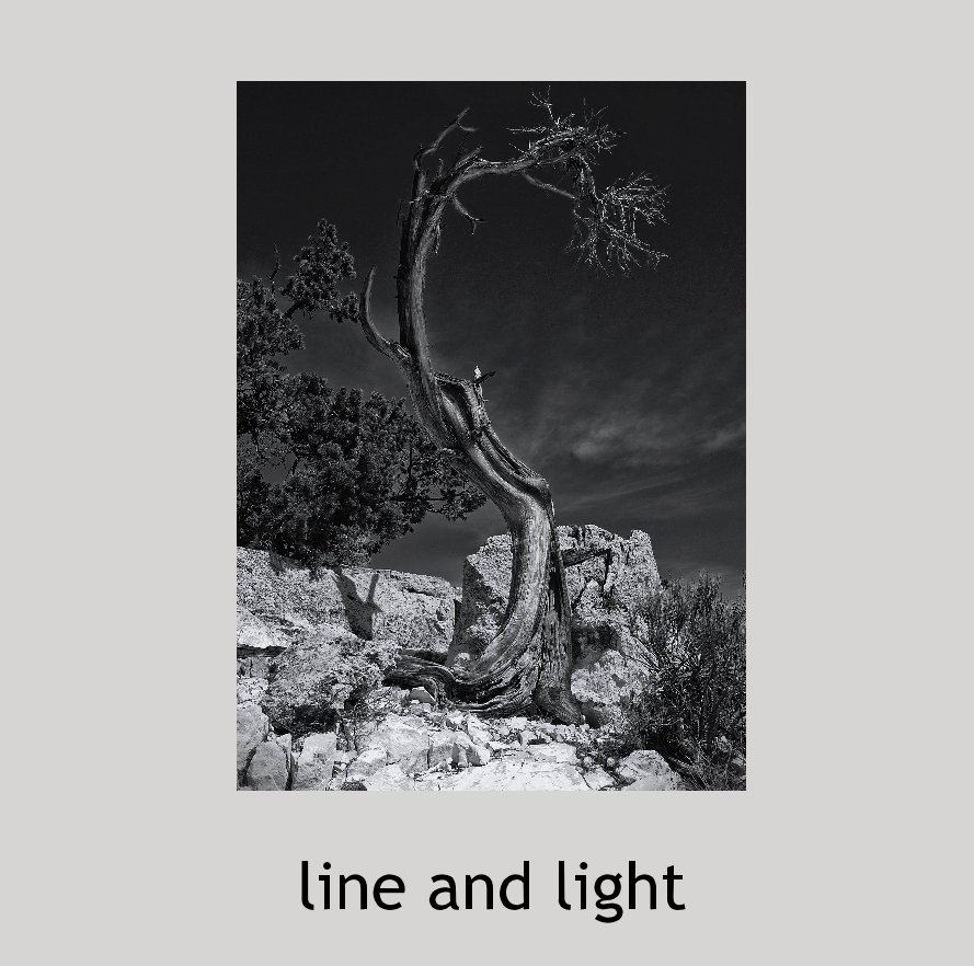 Ver line and light por Ira Thomas