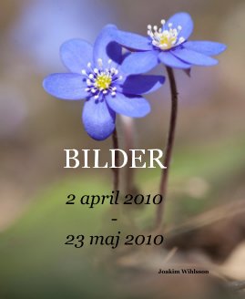 BILDER book cover