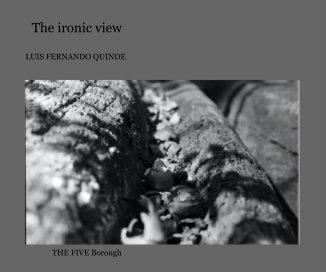 The ironic view book cover