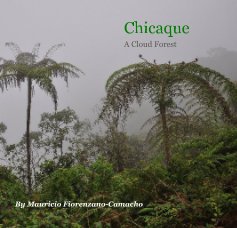 Chicaque book cover