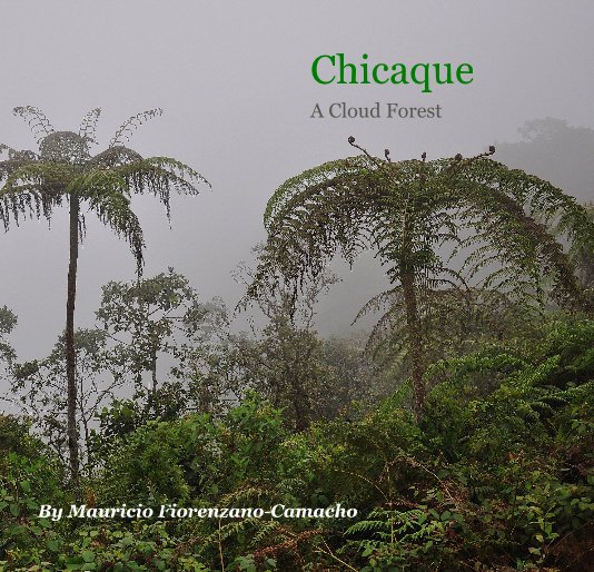 View Chicaque by Mauricio Fiorenzano-Camacho
