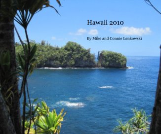 Hawaii 2010 book cover