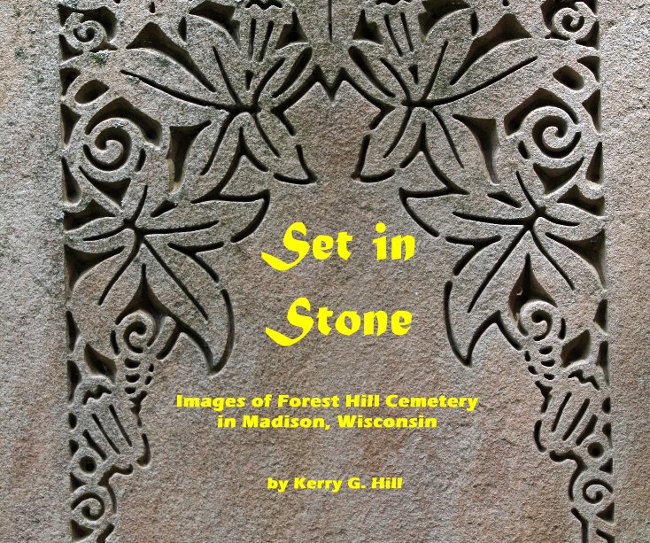 View Set in Stone by Kerry G. Hill