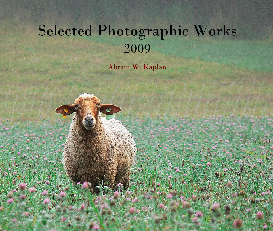 View Selected Photographic Works 2009 by Abram W. Kaplan