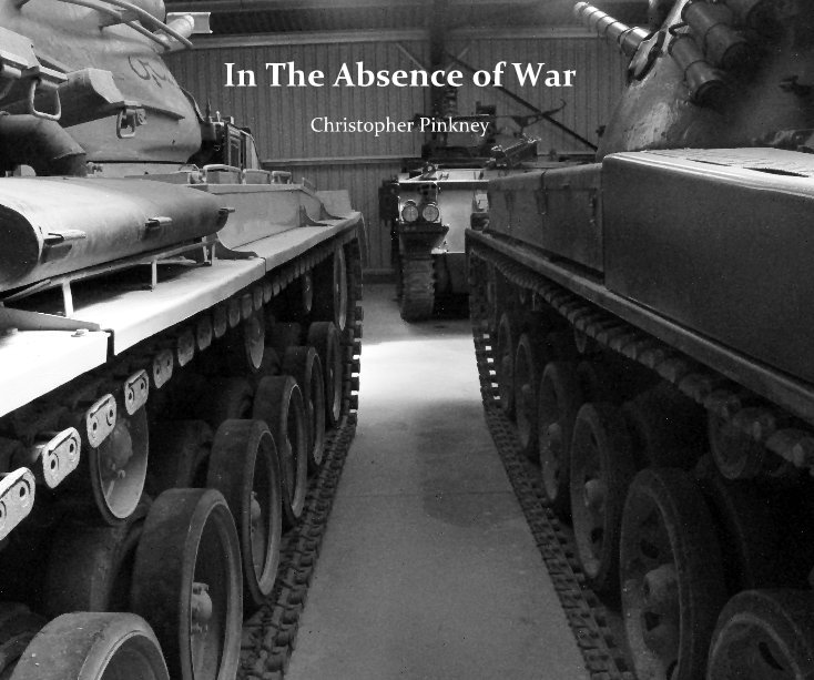 View In The Absence of War by Christopher Pinkney