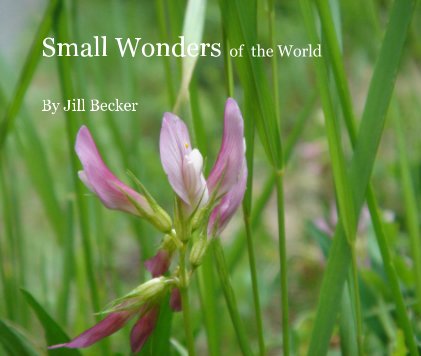 Small Wonders of the World book cover