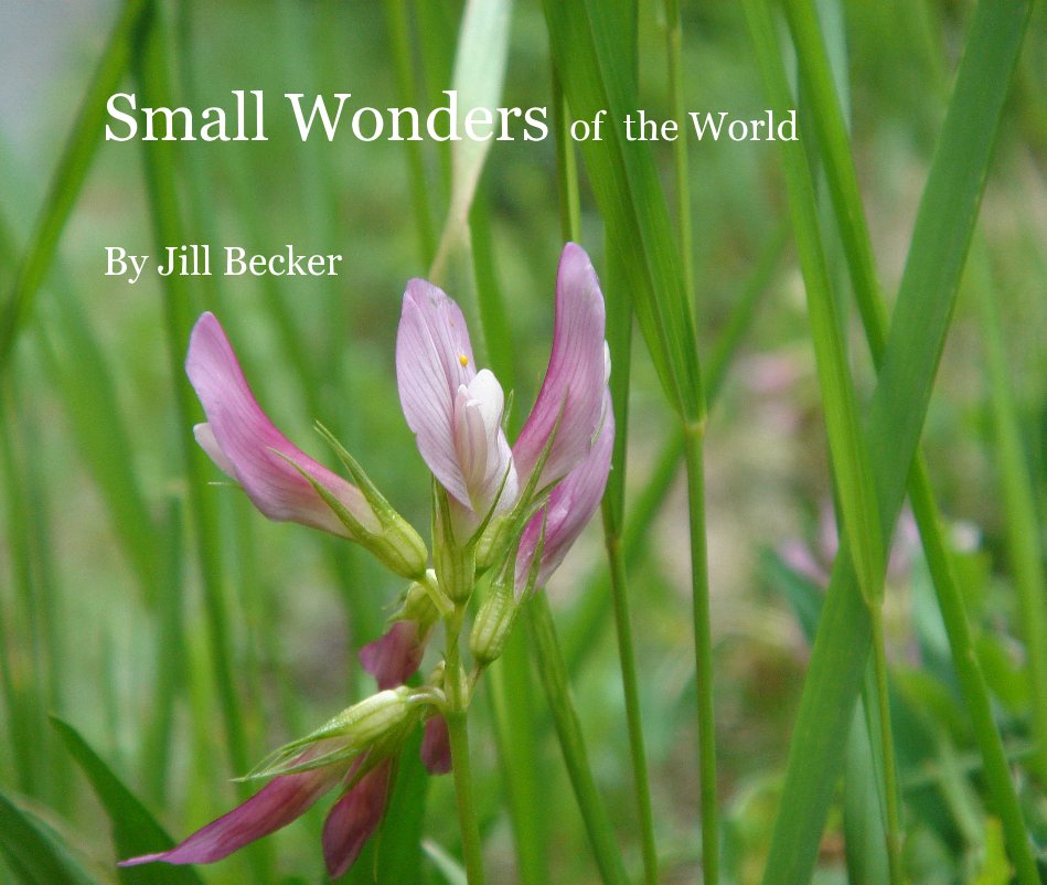 View Small Wonders of the World by Jill Becker